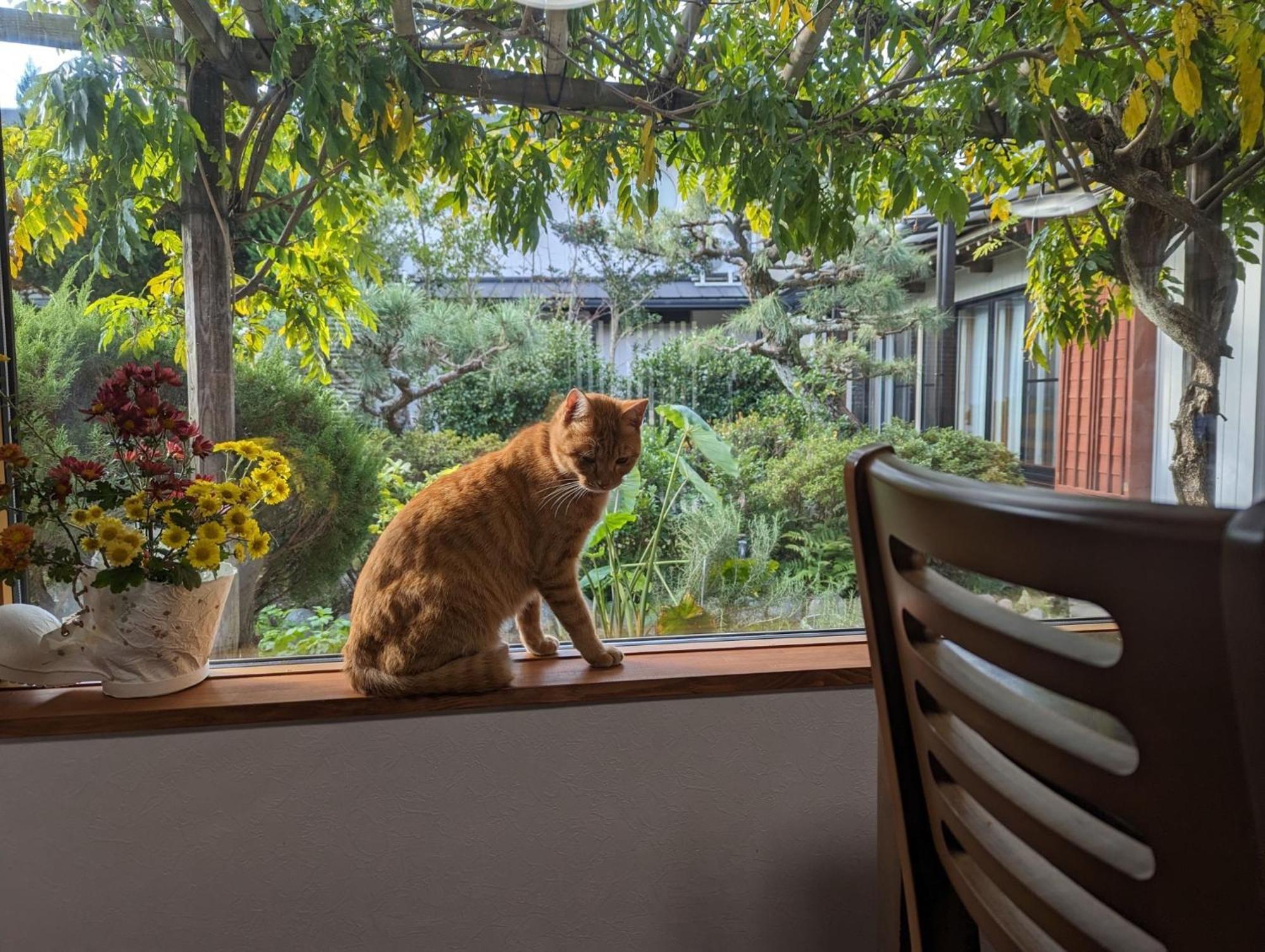 Guest House Ki-Zu - Vacation Stay 94978V Nishio Esterno foto