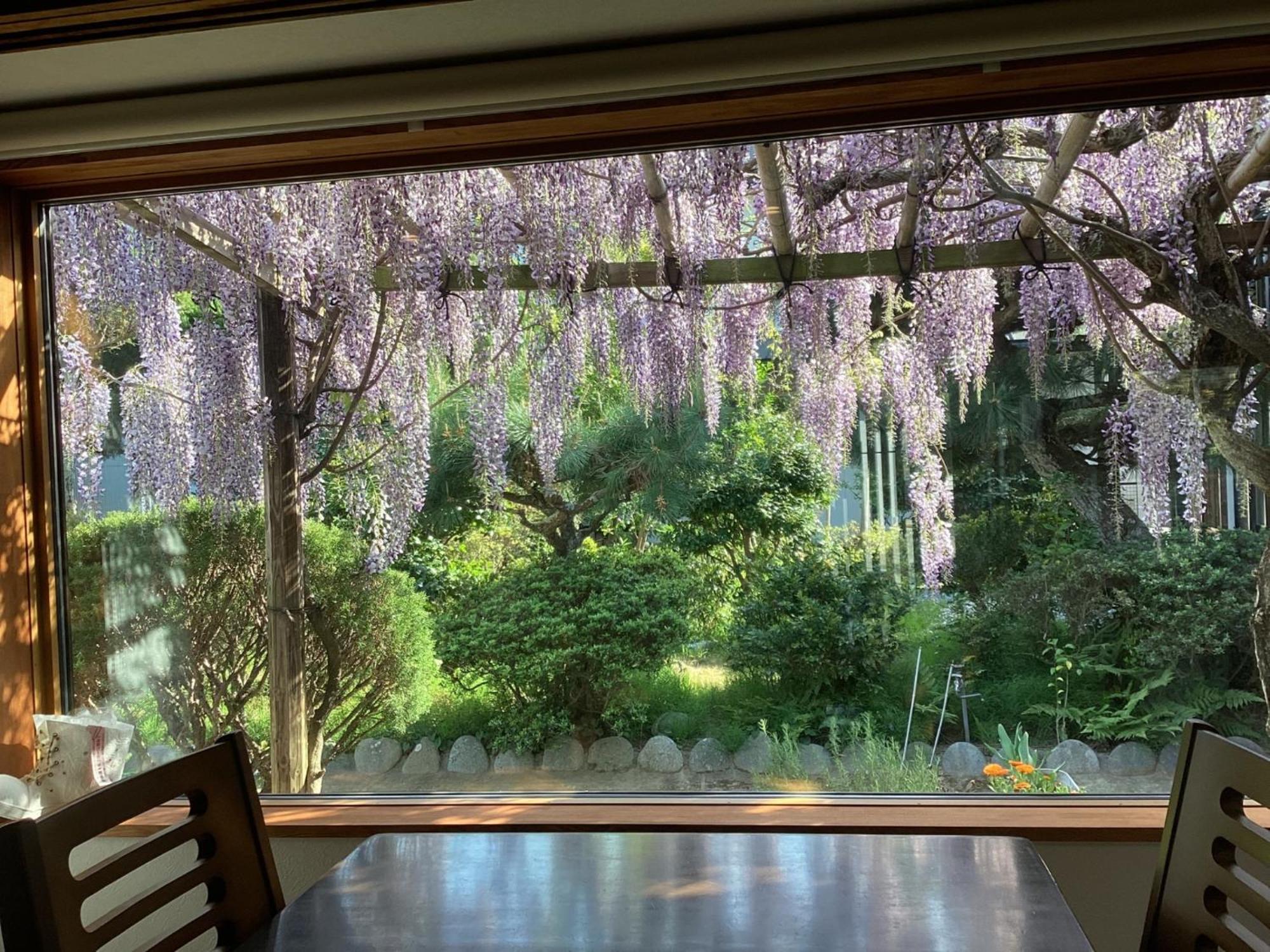 Guest House Ki-Zu - Vacation Stay 94978V Nishio Esterno foto