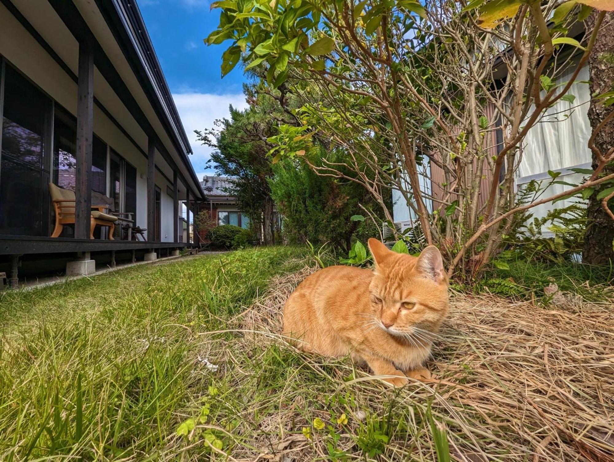 Guest House Ki-Zu - Vacation Stay 94978V Nishio Esterno foto